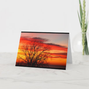 Carte Nous Appartenons Au Même Humour D'Anniversaire De 