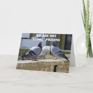 CARTE NOUS NE SOMMES PAS DES PIGEONS STOOL