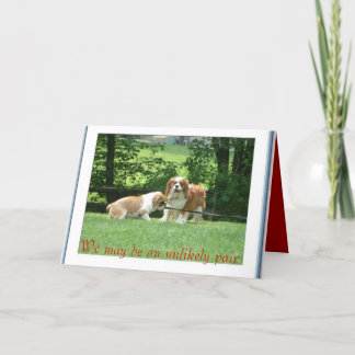 Carte Nous pouvons être une paire improbable