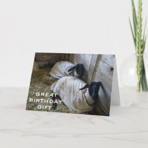 CARTE NOUS RAPPELONS QUE VOUS AVEZ UN AN DE PLUS