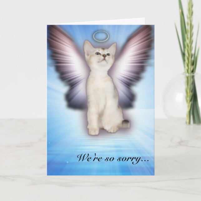 Carte Nous sommes tellement désolés - Sympathie de chat  (Devant)