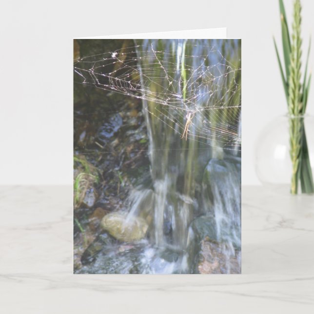 Carte Nouveau domicile (Devant)