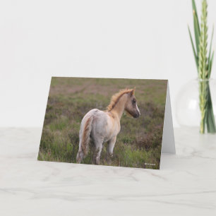 Carte Nouveau Foie De Pony Forestier À L'Écart