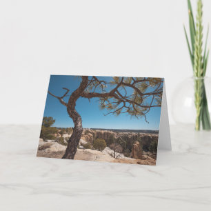 Carte Nouveau-Mexique photo du paysage
