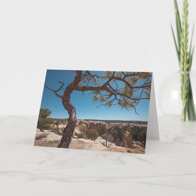 Carte Nouveau-Mexique photo du paysage (Devant)