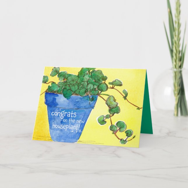 Carte Nouveau Plante Félicitations Blue Clay Pot Sunligh (Devant)