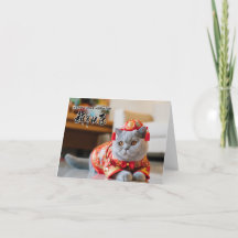 Nouvel an chinois British Shorthair