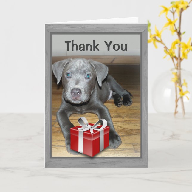 Carte Nouvel animal de compagnie mignon / Merci photo de (Fleur jaune)