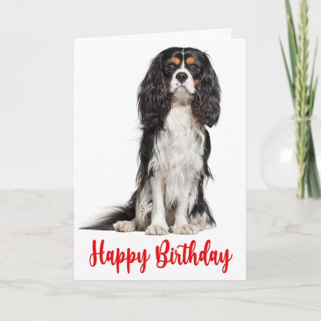 Carte Nouvel anniversaire du mignon roi Charles Cavalier (Devant)