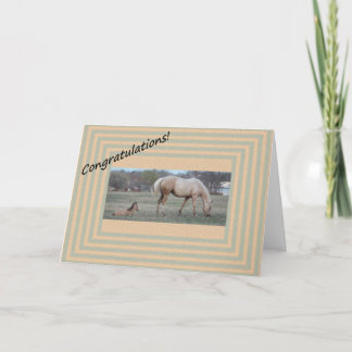 Carte Nouvelle arrivée