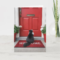 Nouvelle maison avec chat sur un tapis de bienvenu