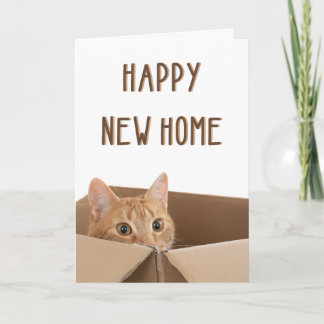 Carte Nouvelle maison, Funny maison de chat, Ménage