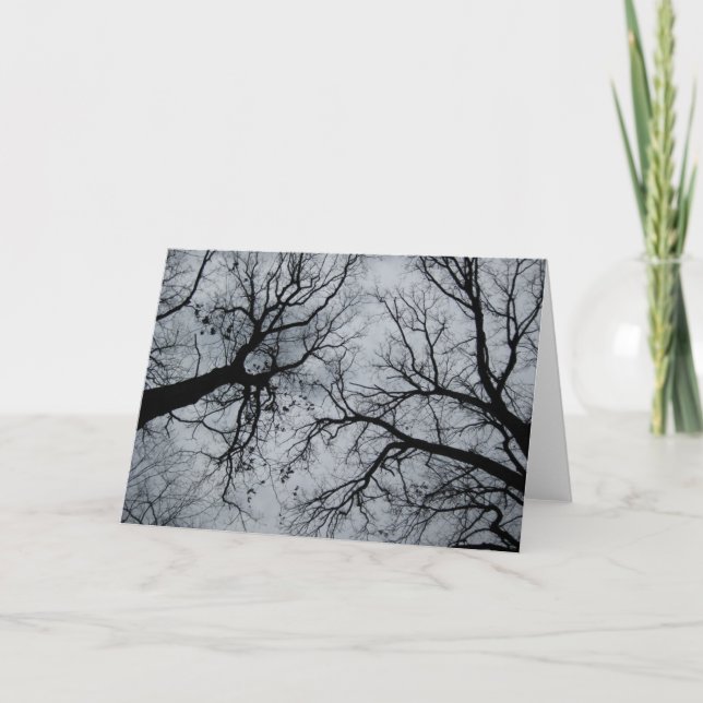 Carte Novembre Ciel à travers les arbres photo (Devant)