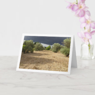 Carte Nuage d'orage sur le paysage du verger du canyon