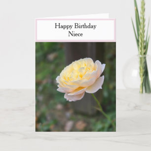Carte Nuit Anniversaire Pastel Roses Jaunes Cupcake Rose