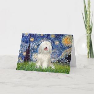 Carte Nuit étoilée - Terrier tibétain blanc