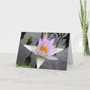 Carte Nymphéa Violet Clair