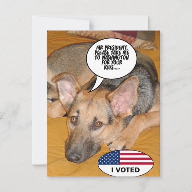 Carte Obama Pet/Whitehouse Humour (Devant)