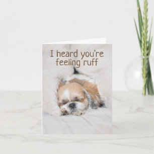 Carte Obtenez bien bientôt mignonne chiot chien shihtzu 