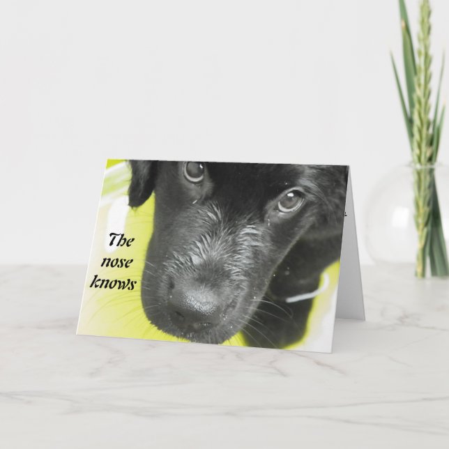 Carte Obtenez Bien Bientôt Puppy Grey Card (Devant)