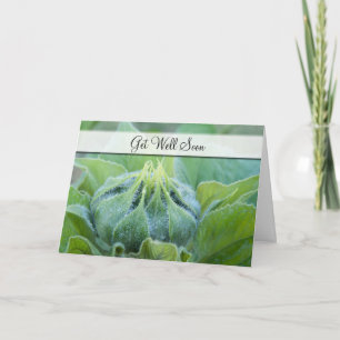 Carte Obtenez bien humide Boue de tournesol Gros plan ph
