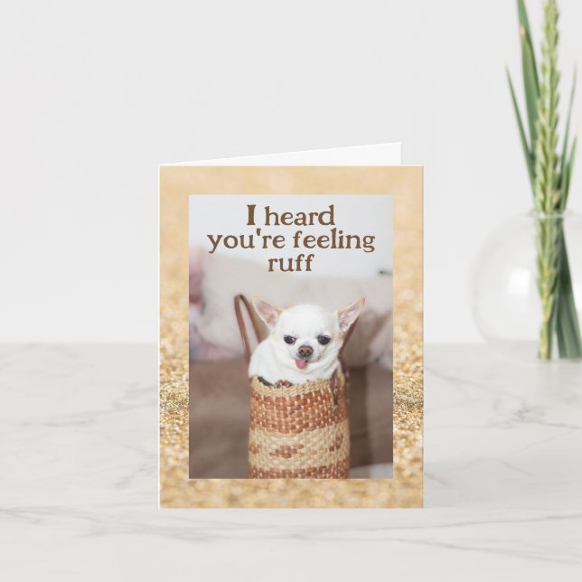 Carte Obtenez bien mignon chien chihuahua éclaboussure o (Devant)