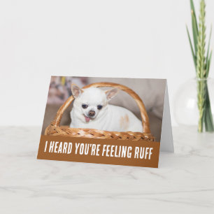 Carte Obtenez bien mignon chien chihuahua sensation rude