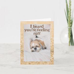 Carte Obtenez bien mignon chien shihtzu dormant or pétil