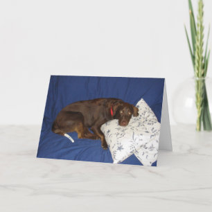 Carte Obtenez Jake bon