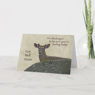 Carte Obtenez le mâle bon de cerf de Virginie dans la
