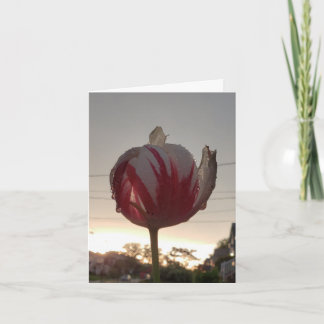 Carte Obtenez Un Emploi, Hippie