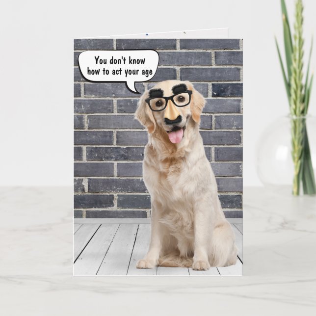 Carte Obtenir Anniversaire Golden Retriever (Devant)