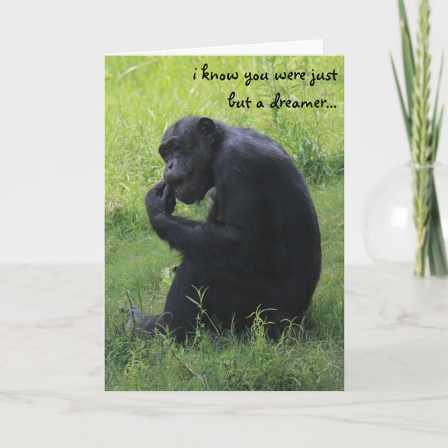 Carte Obtention du diplôme drôle, rêveur de chimpanzé, (Devant)