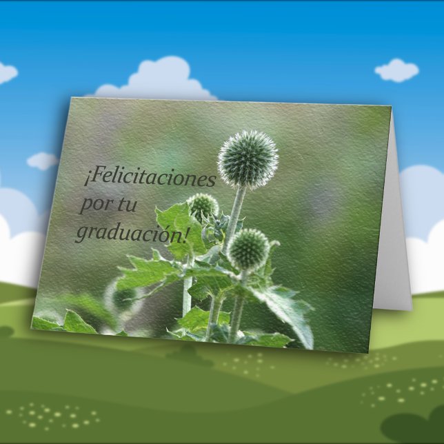 Carte Obtention du diplôme espagnole (Créateur téléchargé)