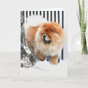 Carte OCCASION DANS la bouffe de heARTdog de NEIGE