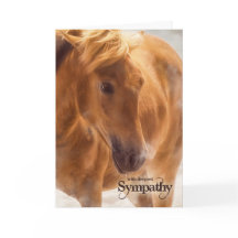 Occidentale Thème Cheval Pet Sympathie