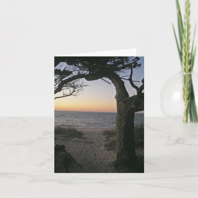 Carte Ocracoke Sunset Note (Devant)