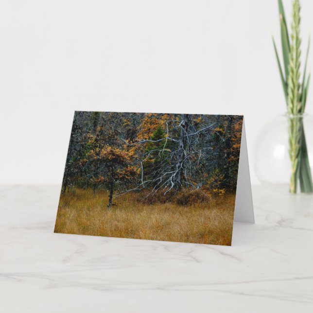 Carte "Octobre" Forêt Adirondack et la scène des arbres (Devant)