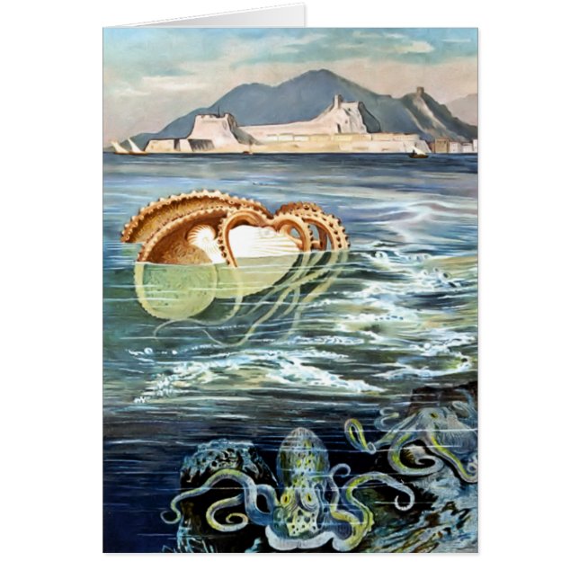 Carte Octopus et calmar vintage (Devant)