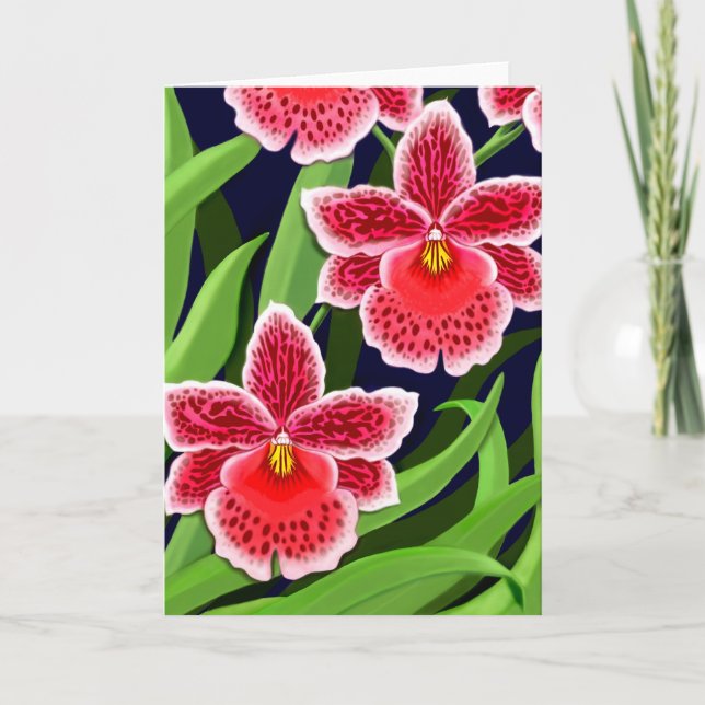Carte Odontoglossum Orchid Flowers (Devant)