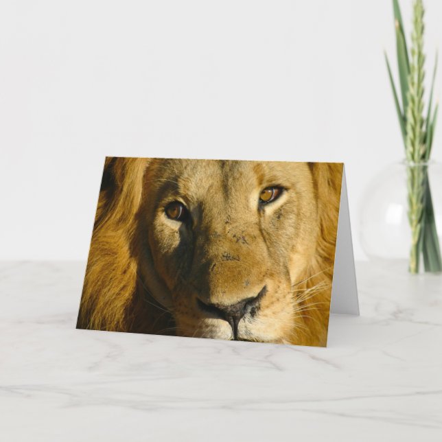 Carte Oeil de Shaka du lion (Devant)