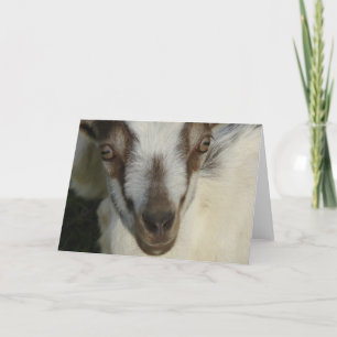 Carte Oeil Vous Voir