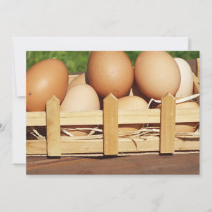 Carte oeufs de poule naturels par pays