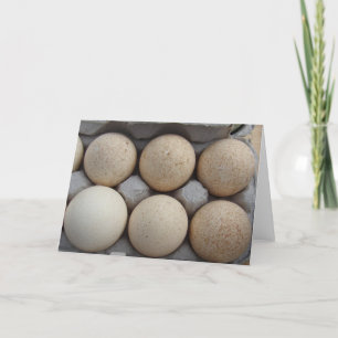 Carte Oeufs de Turquie