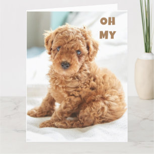 CARTE OH MON ANNIVERSAIRE EST SI HEUREUX POUR VOUS !