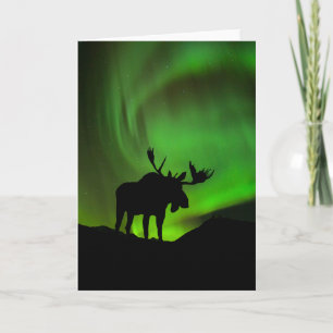 Carte Oie à aurore verte boréale, Alaska
