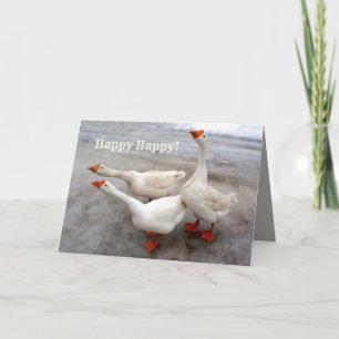 Carte Oie blanche