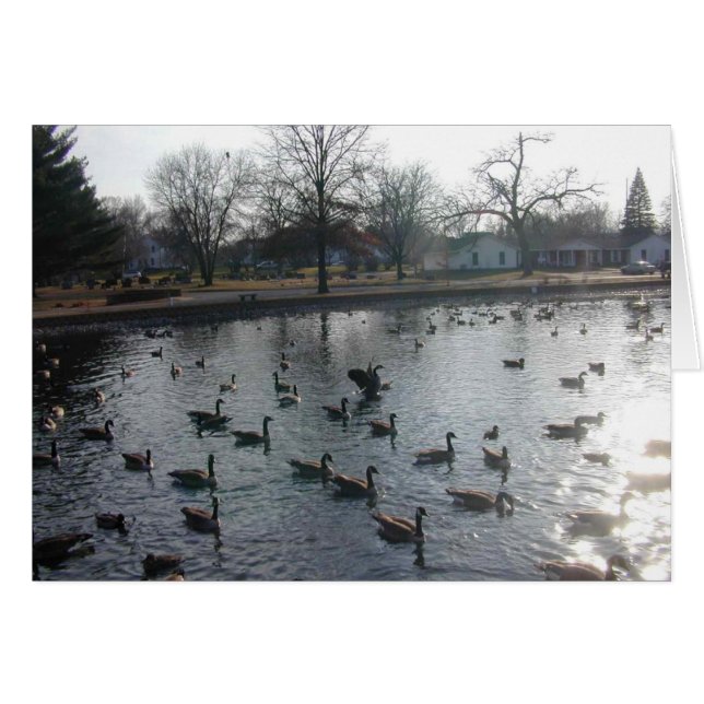 Carte Oie de vidange (Devant horizontal)