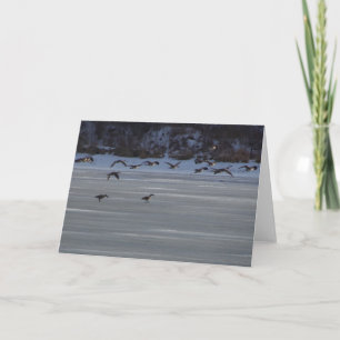 Carte Oie volante basse