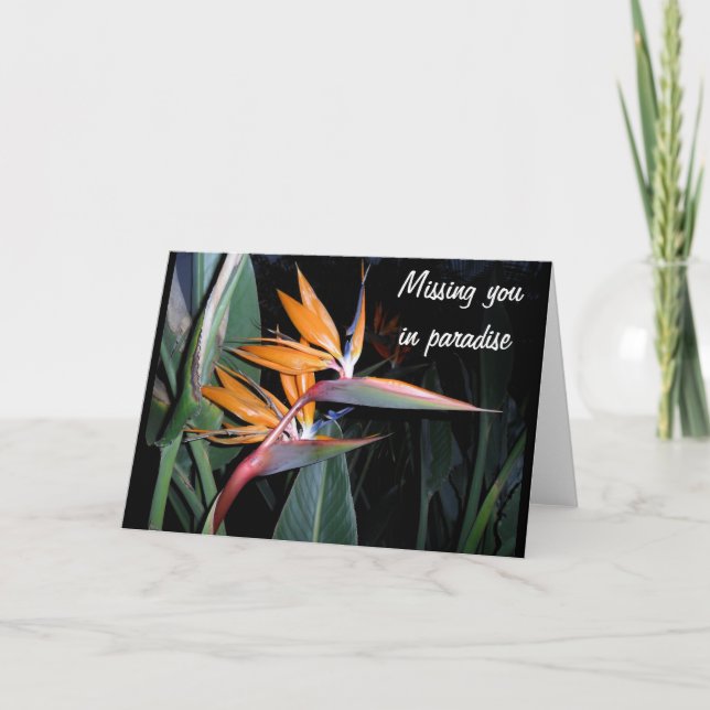 Carte Oiseau (Devant)